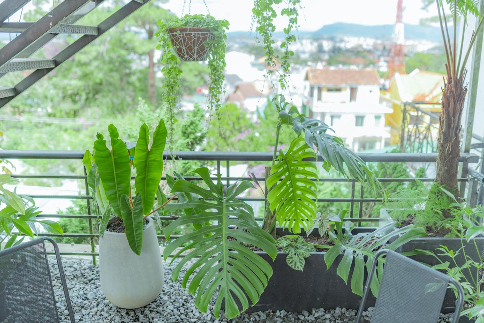 Hilly Hostel Dalat Luaran gambar